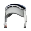 Apple Vision Pro